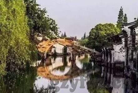 91麻豆精品成人免费视频-领略成人视频的无尽魅力——91 麻豆精品的非凡体验