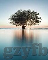 av日韩www-日韩AV文化，网络世界的多元视角与文化交融