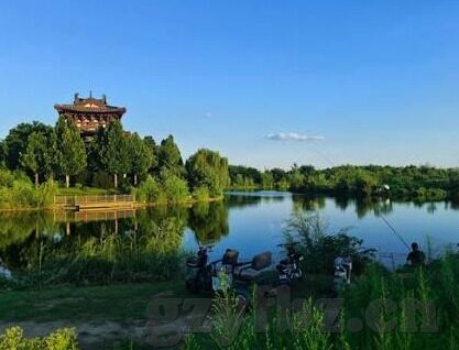 大象传媒麻豆一区-探索大象传媒与麻豆一区的文化交汇点