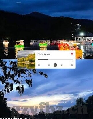 麻豆专属视频-麻豆专属视频的魔力，理解与反思